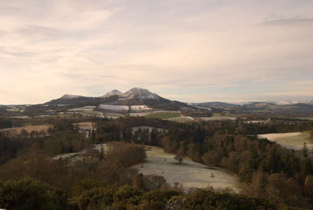 looking upwards on River Tweedの写真素材