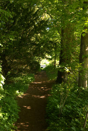 woodland path to gate by river Tweed in Darnickの写真素材