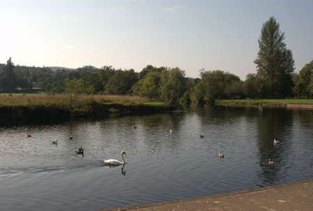 view of river Teith at Callander in summerの写真素材