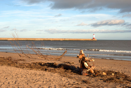 wood debris, sea, beach and pier at Spittal in winterの写真素材