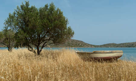 Fishing boat on Mediterranean shore near olive tree. Background. Greece.の写真素材