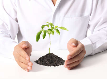 businessmen holding a plant on a white background の写真素材