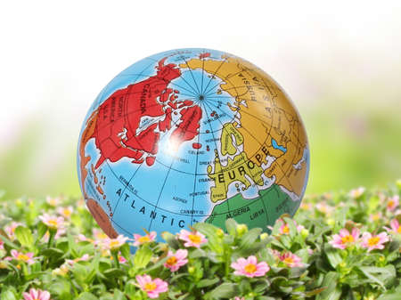 Earth Globe and a flowerの写真素材