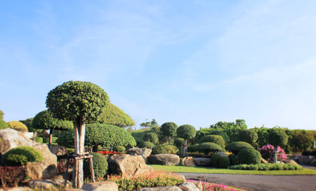 Green lawn in a colorful landscaped formal garden 