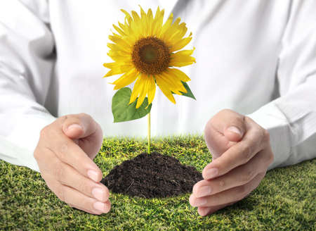 holding green plant in hand の写真素材
