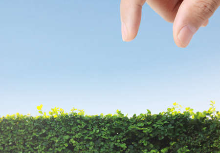 Hand raise for receive a something の写真素材