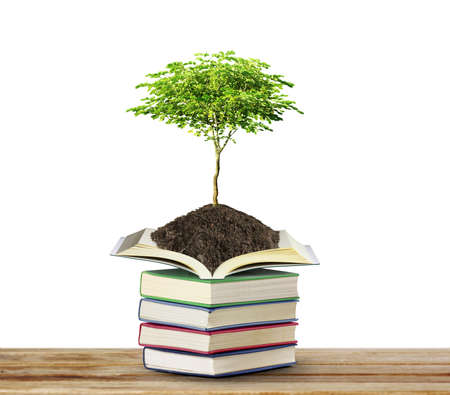 books with tree isolated on white の写真素材
