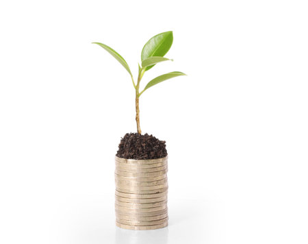 gold coins and plant them isolated on white 