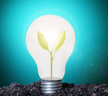 Incandescent light bulb with plant as the filament の写真素材