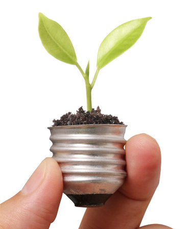 Ideas light bulb in the hand 