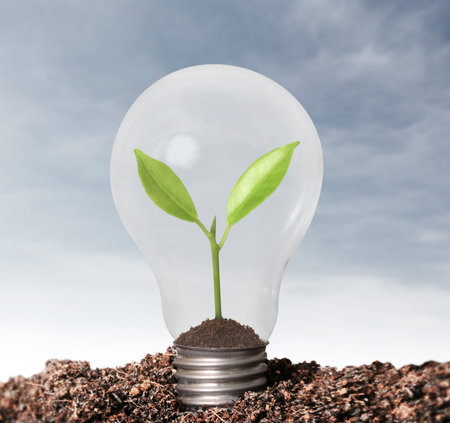 Incandescent light bulb with plant as the filament 