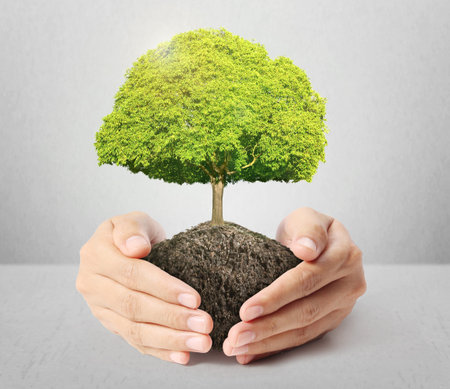 holding green tree in the hand 