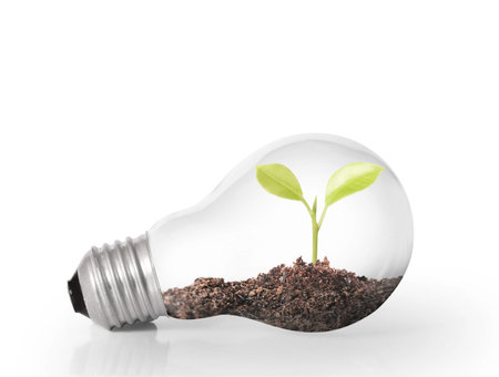 ideas, energy saving light bulb 