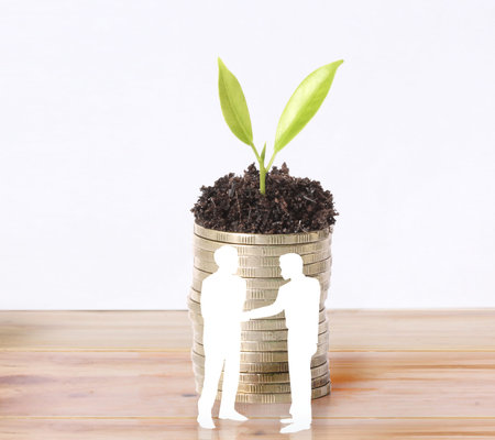 plant on gold coins and the graph them の写真素材