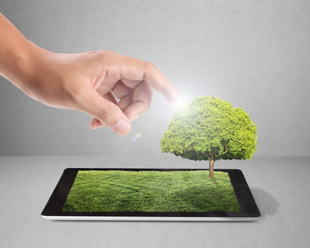 tablet on the white grass field and a treeの写真素材