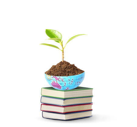Vintage old a books and tree