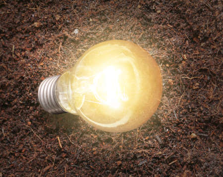 ideas, energy saving light bulb の写真素材