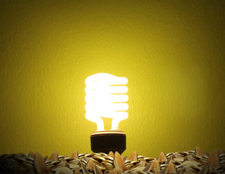 ideas, energy saving light bulb の写真素材