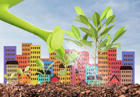 watering can pouring the trees の写真素材