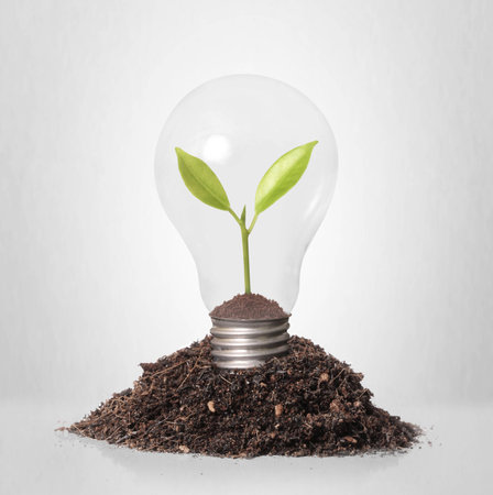 ideas, energy saving light bulb の写真素材