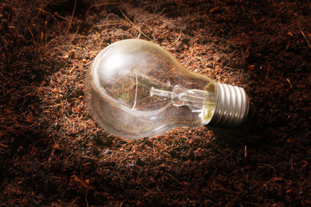 ideas, energy saving light bulb 