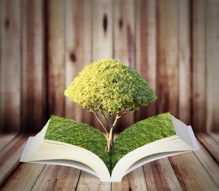 Book of nature with tree isolated の写真素材