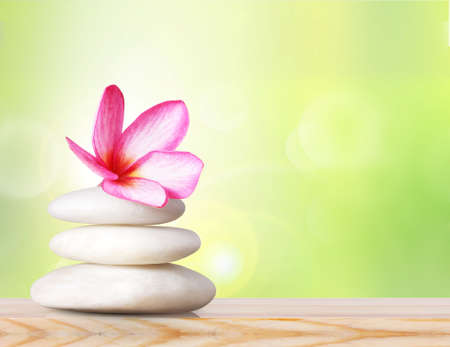 Orchid laying on stones, spa stones and pink orchidの写真素材