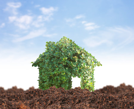 concept by house on the natureの写真素材