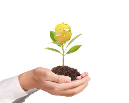 Money growing on tree, Dollar signsの写真素材