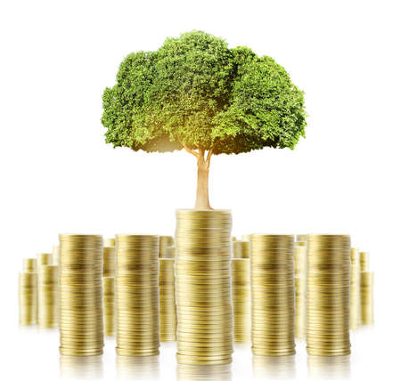 Concept of money tree growing from moneyの写真素材