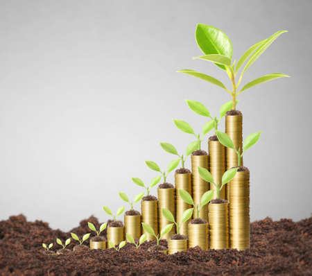 Investment concept, Coins graph stock marketの写真素材