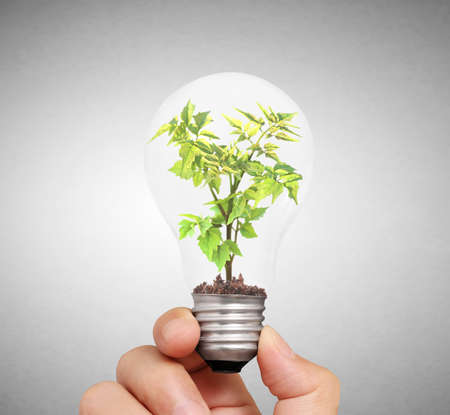 Hand holding light bulb with young green plant, green energy conceptの写真素材