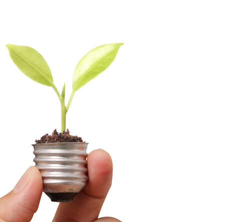 Hand holding light bulb with young green plant, green energy conceptの写真素材