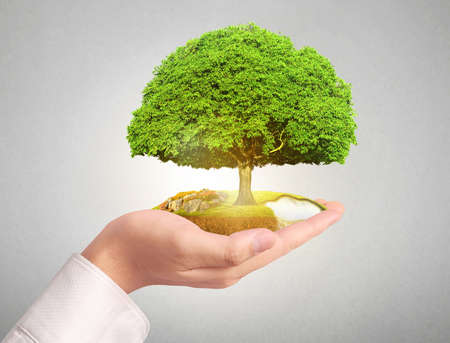 Close up man hands holding plantの写真素材