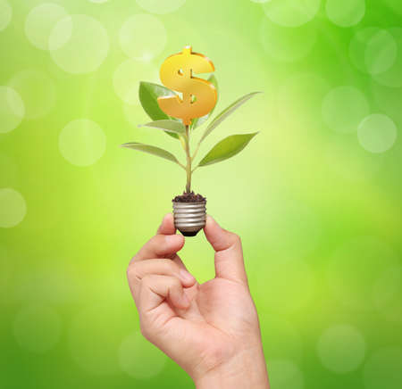 Energy saving light bulb, Creative light bulb idea in the handの写真素材