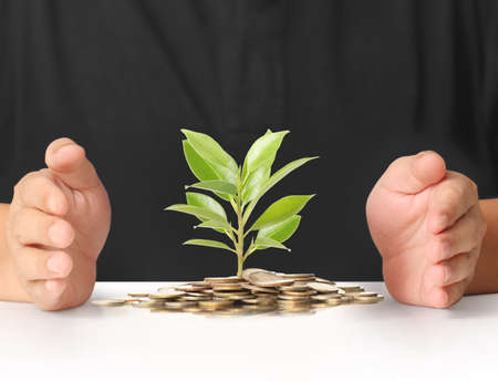 Concept of money plant growing from coins in handの写真素材