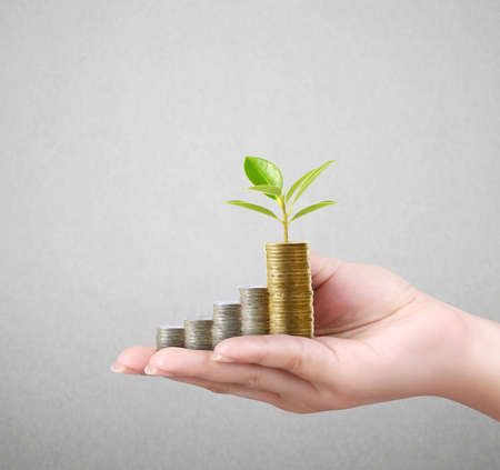 Human Hand coin to money, business ideasの写真素材
