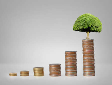 Investment concept, Coins graph stock marketの写真素材