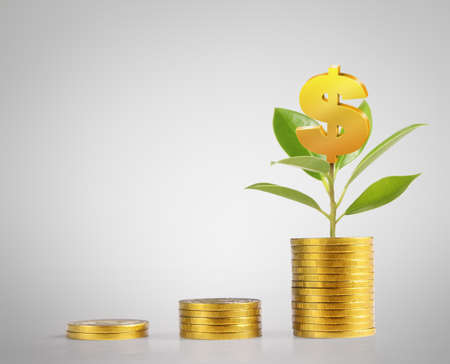 Investment concept, Coins graph stock marketの写真素材