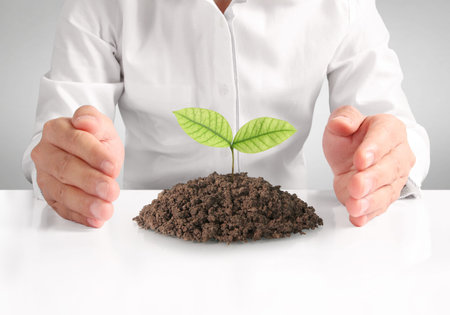Concept of growing from plant in a hand
