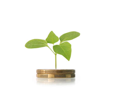 Investment concept, Coins graph stock marketの写真素材