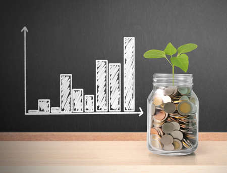 Sprout growing on a glass piggy bankの写真素材