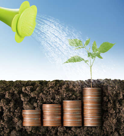 nvestment concept, Coins graph stock marketの写真素材