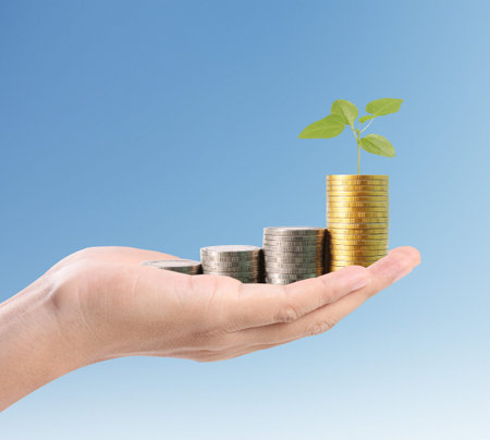 Concept of money growing from coins in handの写真素材