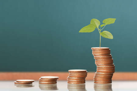 Investment concept, Coins graph stock marketの写真素材