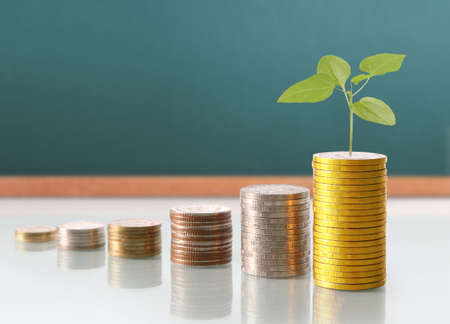 Investment concept, Coins graph stock marketの写真素材