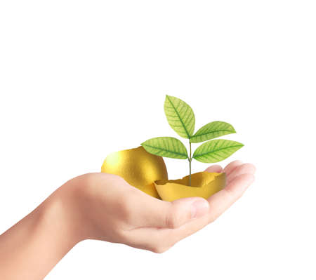 Hand Holding of golden eggsの写真素材