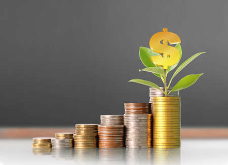 Investment concept, Coins graph stock marketの写真素材