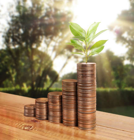 graph money coins stock finance and business conceptの写真素材