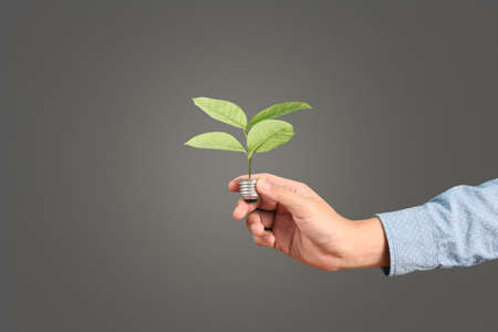 holding lightbulb in a handの写真素材